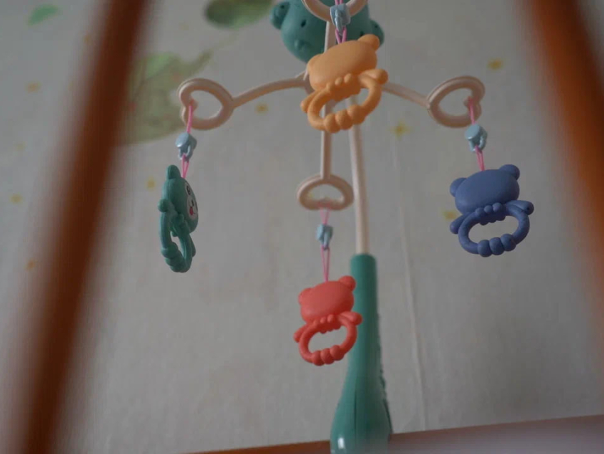 Девятый ребенок родился в семье жителей Оловяннинского района Забайкалья 