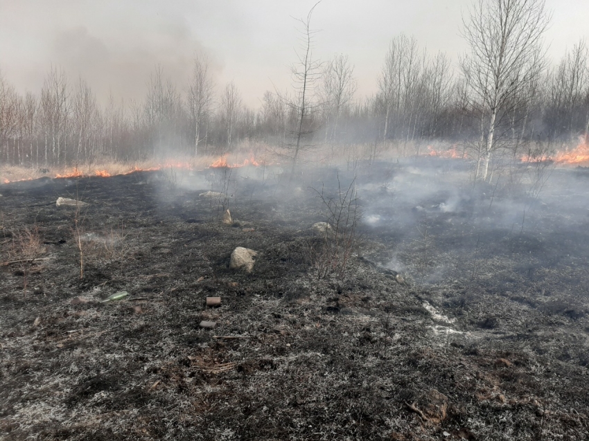 Андрей Гурулев: Дополнительные силы направлены на локализацию пожара в районе села Кука в Забайкалье 