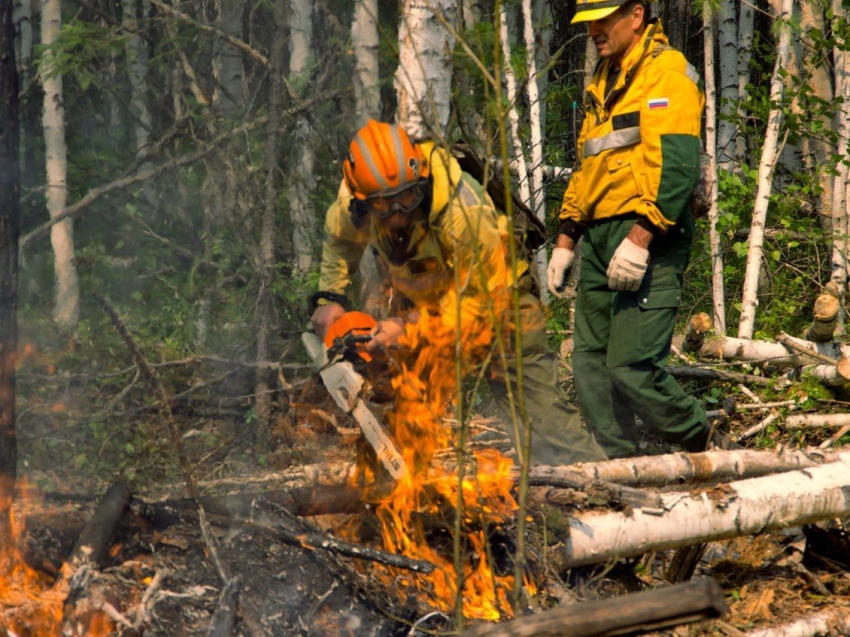 Правительство РФ компенсирует Забайкалью почти 70 миллионов рублей затрат на тушение лесных пожаров