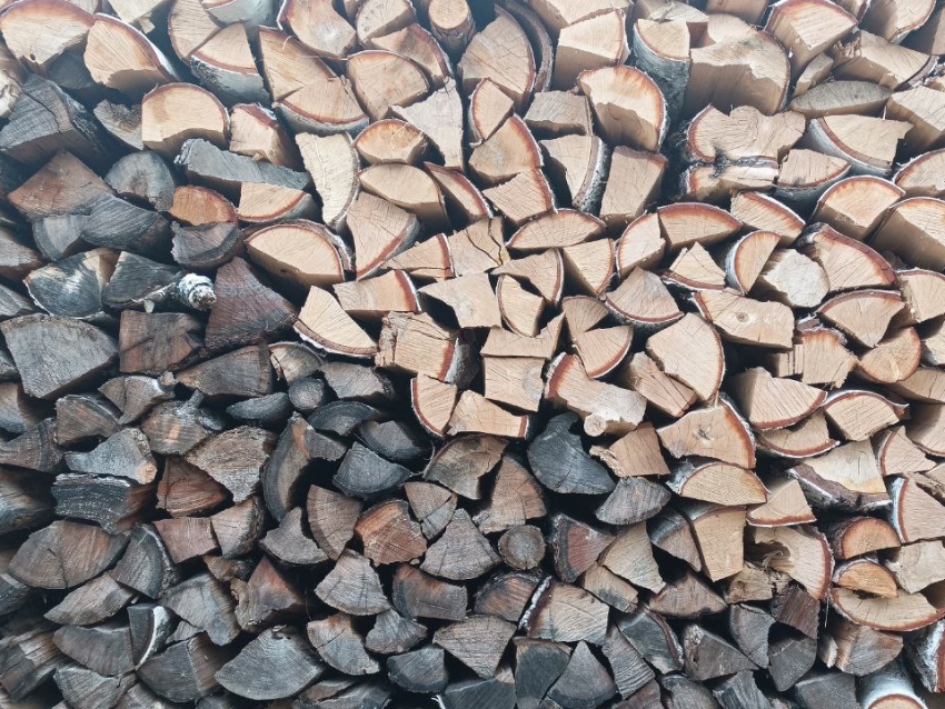 Предложение Zабайкалья об аренде участков для заготовки древесины внесли в Лесной кодекс страны