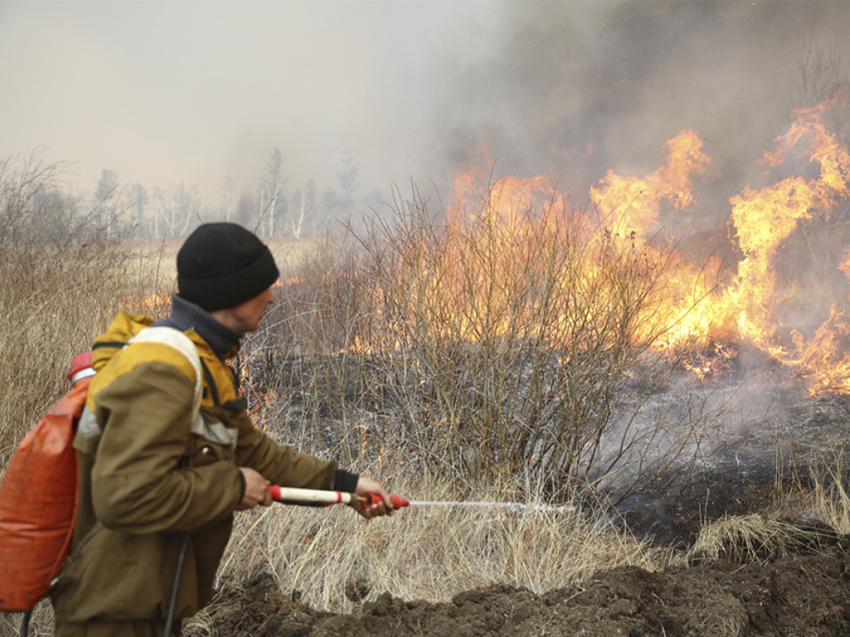 Пожары в районе Иван-Озера и станции Лесная локализованы