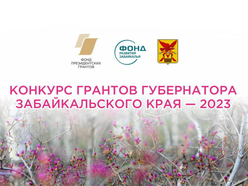 ​Опубликовано положение конкурса грантов губернатора Забайкальского края 2023 года