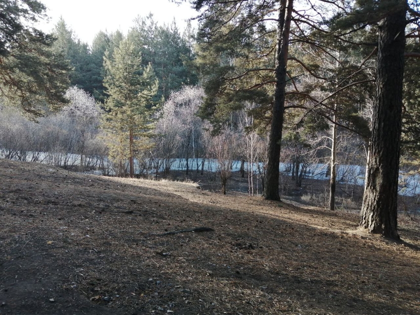 ​Три лесных пожара ликвидировано, пять локализовано за сутки в Zабайкалье