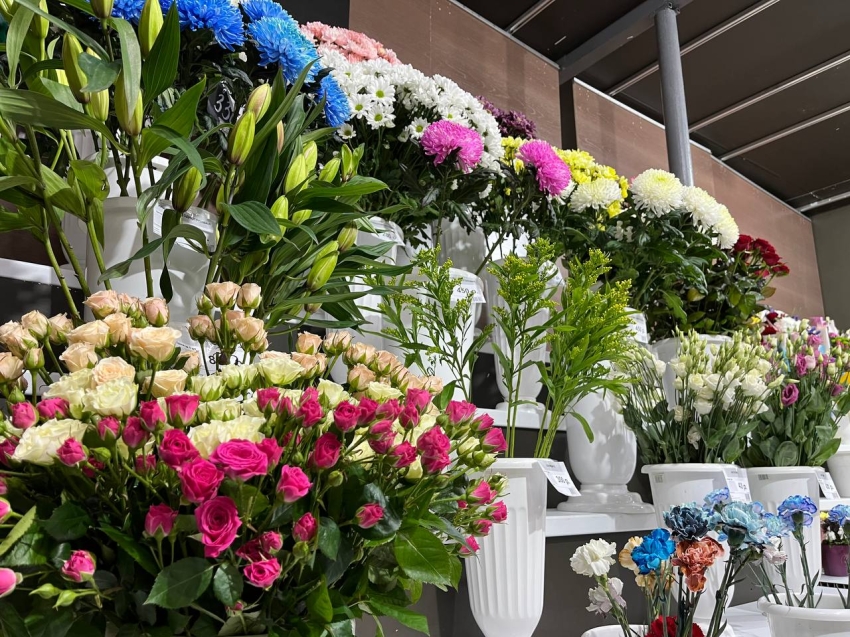 ​Садоводы Zабайкалья будут поставлять в цветочные салоны собственно выращенные цветы и кустарники 