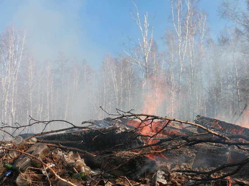 Пожар ликвидирован в Оловяннинском районе Zабайкалья
