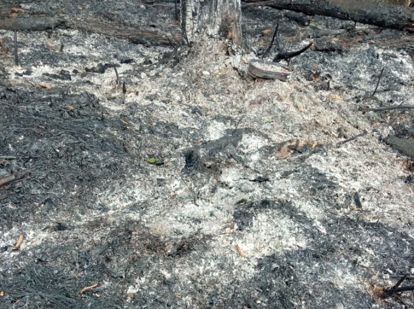 ​Виновник лесного пожара в Нерчинском районе заплатит штраф предпросмотр