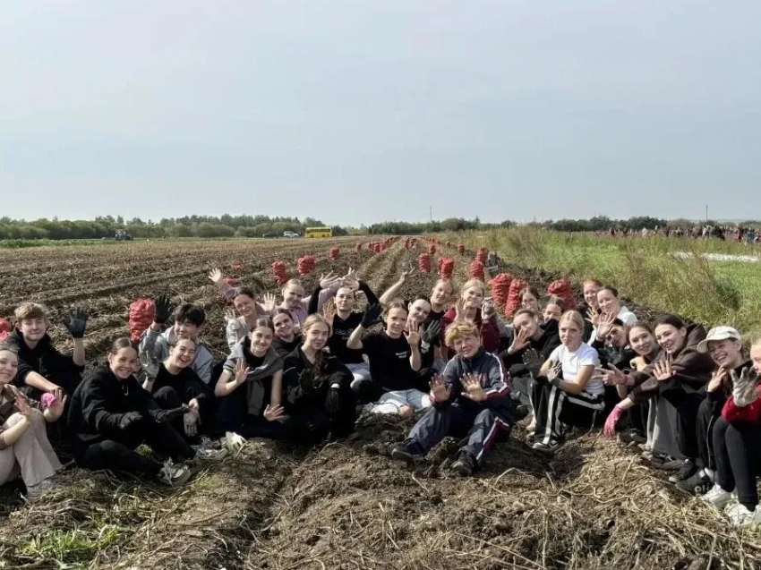 Студенты училища культуры Забайкалья поучаствовали в акции «Мы вместе» и собрали картошку на полях