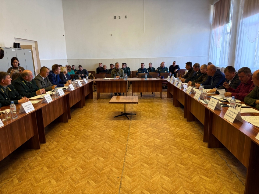 ​В Забайкалье будут прорабатывать вопрос о возможности тушения трансграничных пожаров