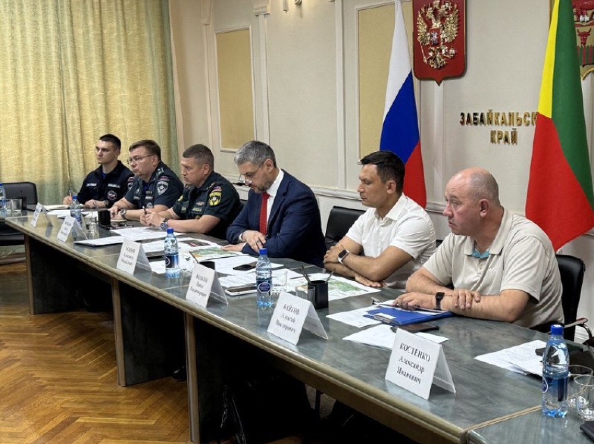 ​За три недели в Забайкалье ликвидировали почти 100 лесных пожаров на общей площади в миллион гектаров