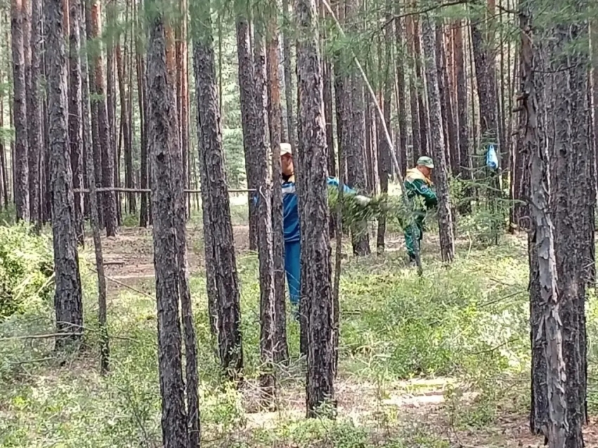 Противопожарный заслон создают в районе Карповки