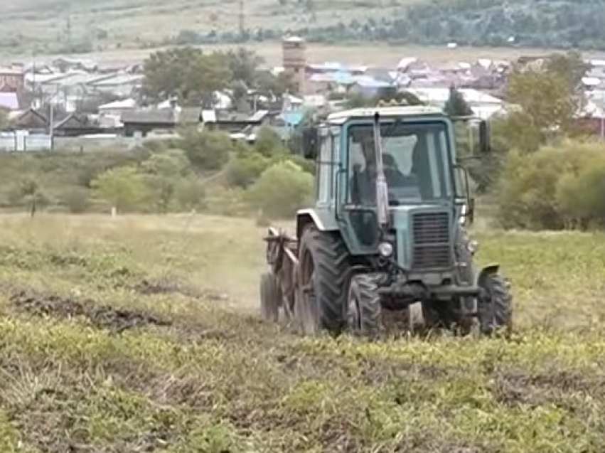 За неделю в районах Zабайкалья финансово поддержали шесть производственных проектов 