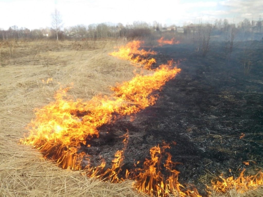 Минприроды Забайкалья напоминает: сжигать сухую траву и разводить костры в лесах запрещено