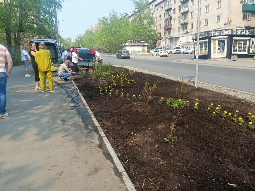 Читинские студенты высадили цветы и кустарники в центре города в рамках общественного проекта