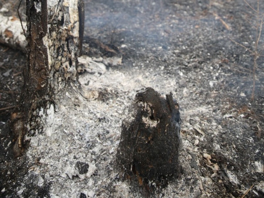 ​Высокая пожароопасность сохраняется в 13 районах Zабайкалья
