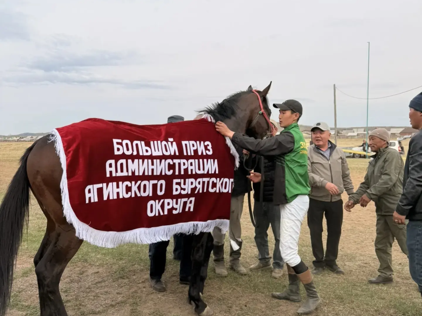​В Агинском округе официально открыли конноспортивный сезон 2026