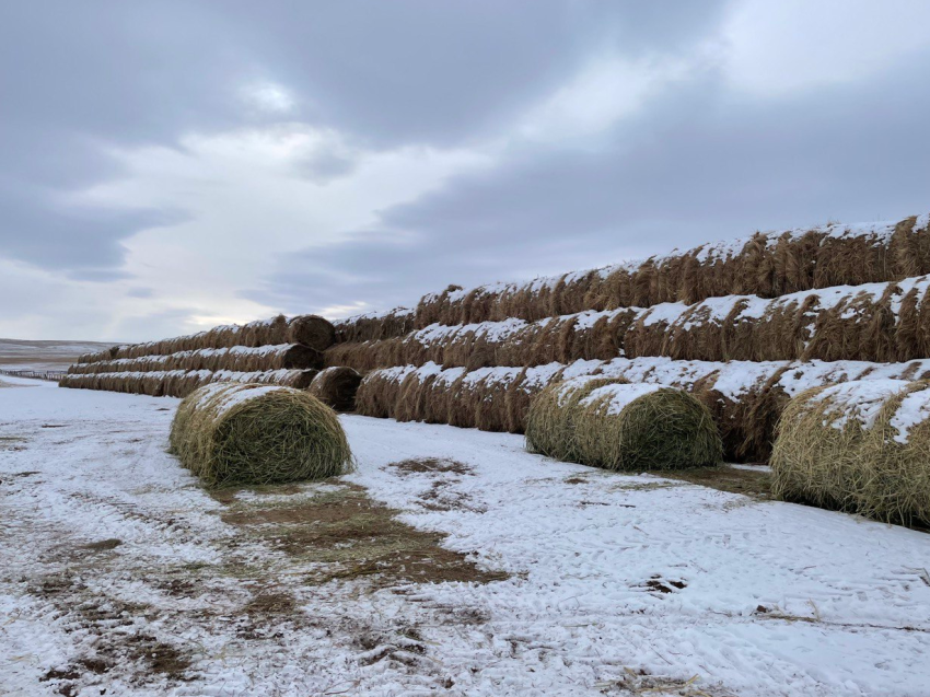 Вице-премьер правительства Забайкалья Базар Дугаржапов проверил готовность фермеров Агинского округа к зиме