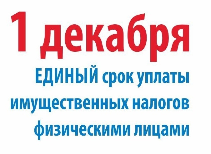 1 декабря единый срок уплаты имущественных налогов физическими лицами