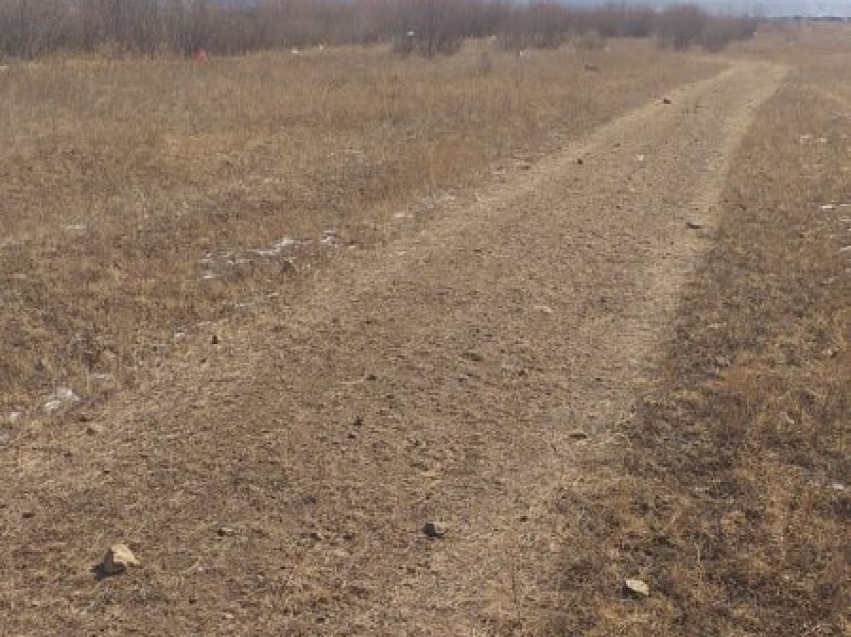 Департамент ГО ПБ Zабайкалья опробовал способ безогневой очистки местности сухой растительности