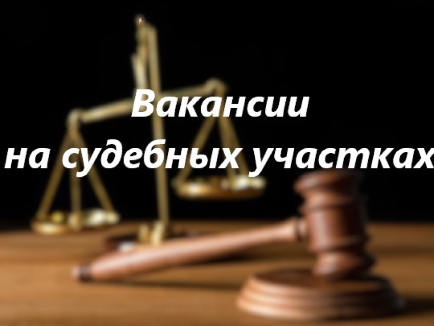 Старт карьеры в правосудии.  Департамент мировых судей Забайкальского края ждет вас!