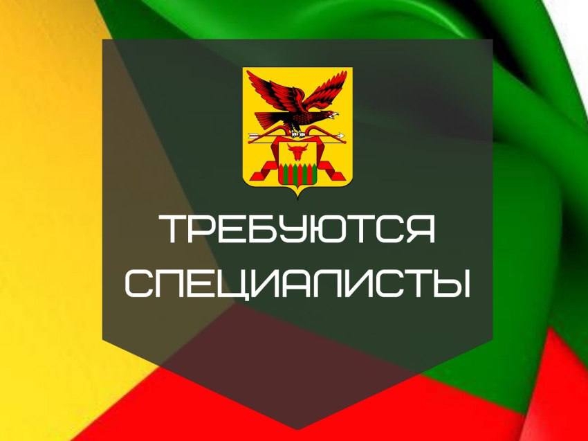 Финансы и карьера: В Департаменте открыта вакансия экономиста-бухгалтера