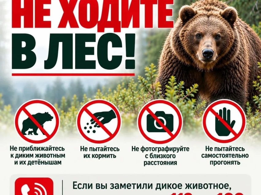 ​В связи с выходами диких животных просим временно воздержаться от посещения лесов!