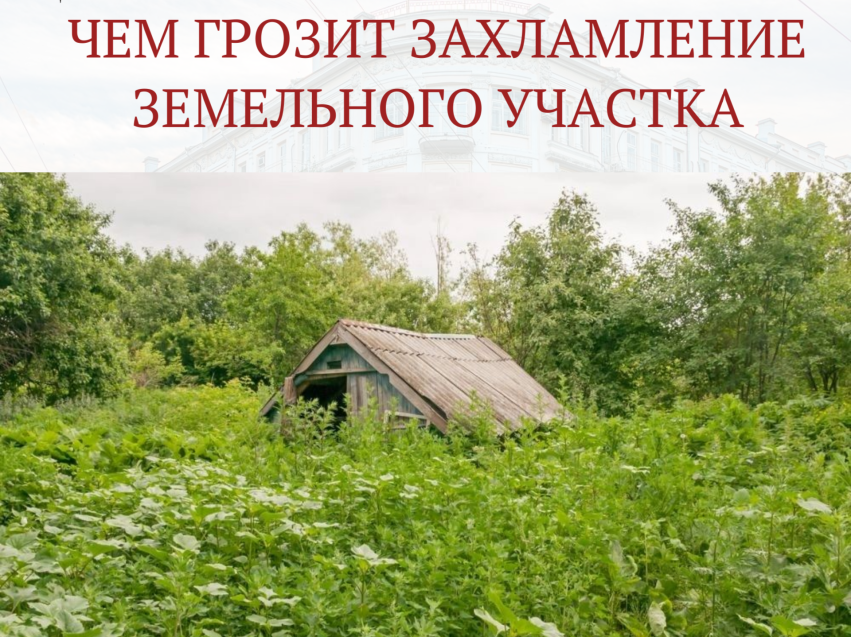 Захламление – ключевой признак неиспользуемого земельного участка