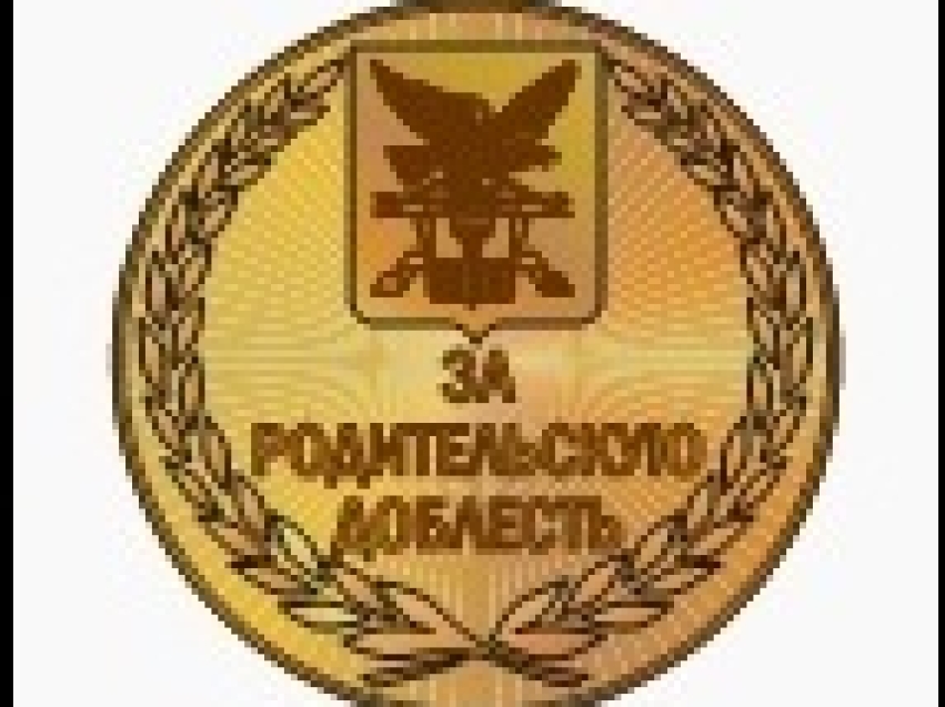 Награждение медалью «ЗА РОДИТЕЛЬСКУЮ ДОБЛЕСТЬ»