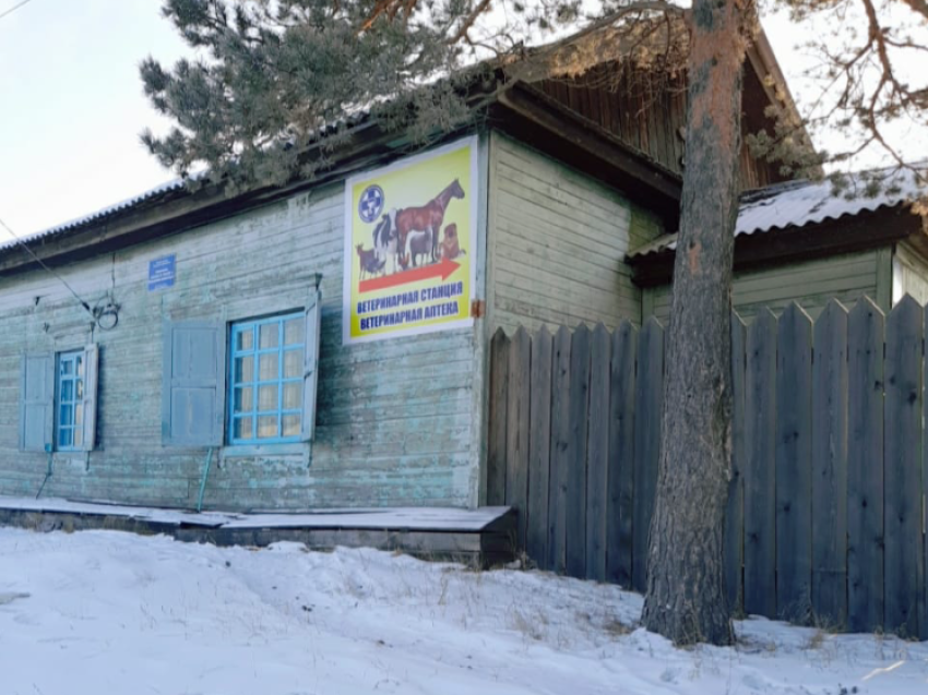 Ветеринарная аптека в Забайкальском крае стала лучше