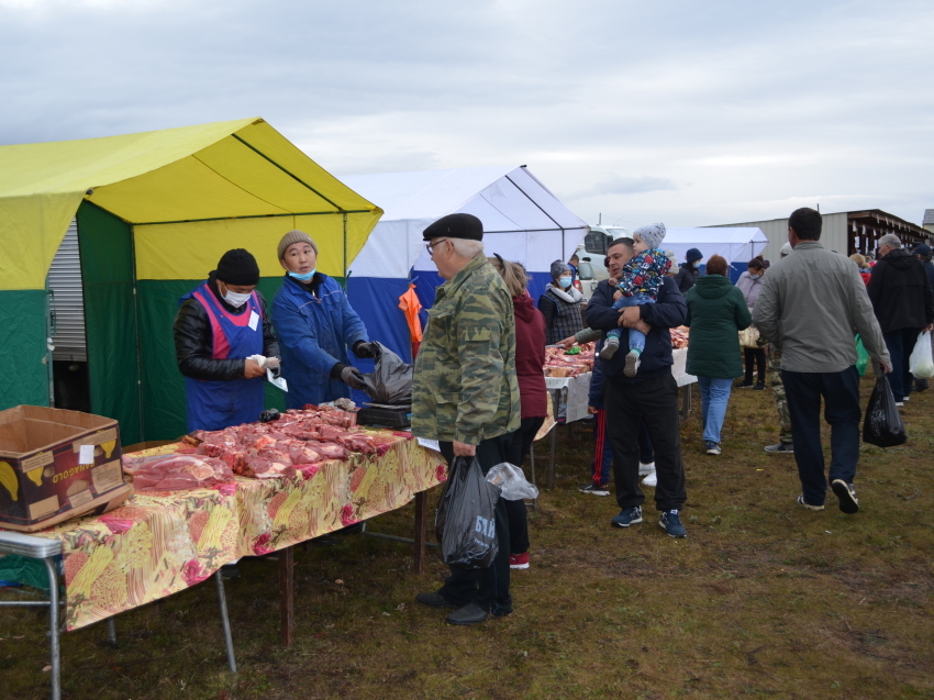 Ветврачи обеспечат безопасность продукции на выставке-ярмарке «Золотая Осень 2021» в Чите