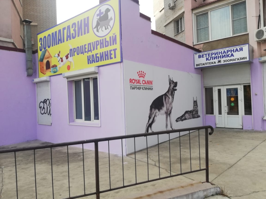 Дата открытия первой государственной ветеринарной аптеки в Забайкалье перенесена на октябрь