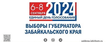 Выборы 2024