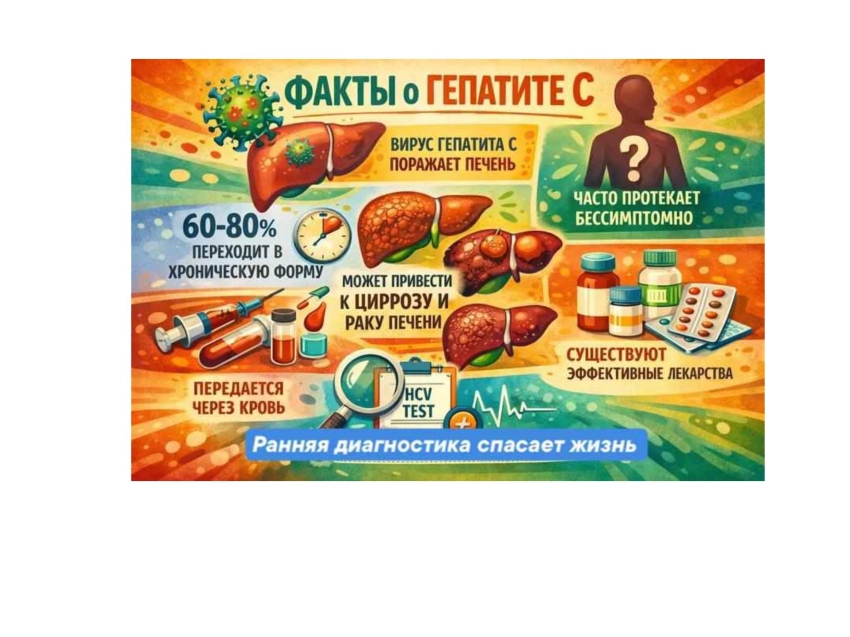 Факты о гепатите С