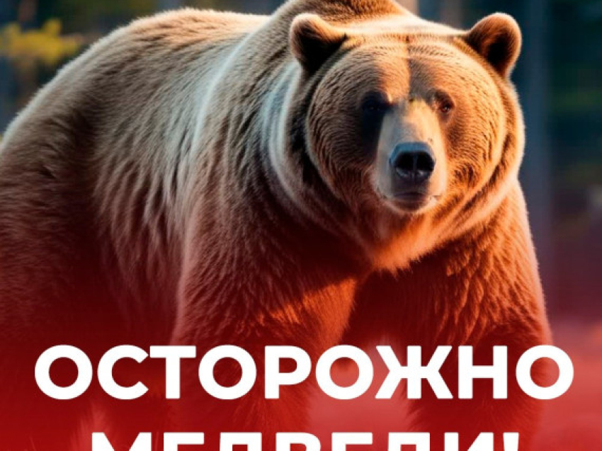 Уважаемые граждане !!! Администрация Хилокского муниципального округа информирует Вас: