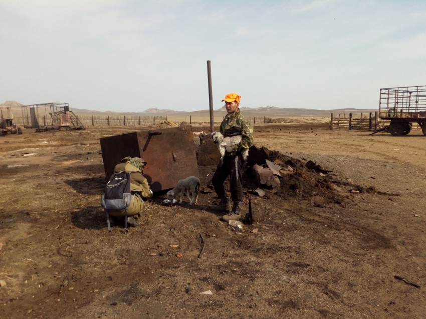 ​Пострадавшим от природных пожаров владельцам хозяйств Забайкалья компенсировали ущерб