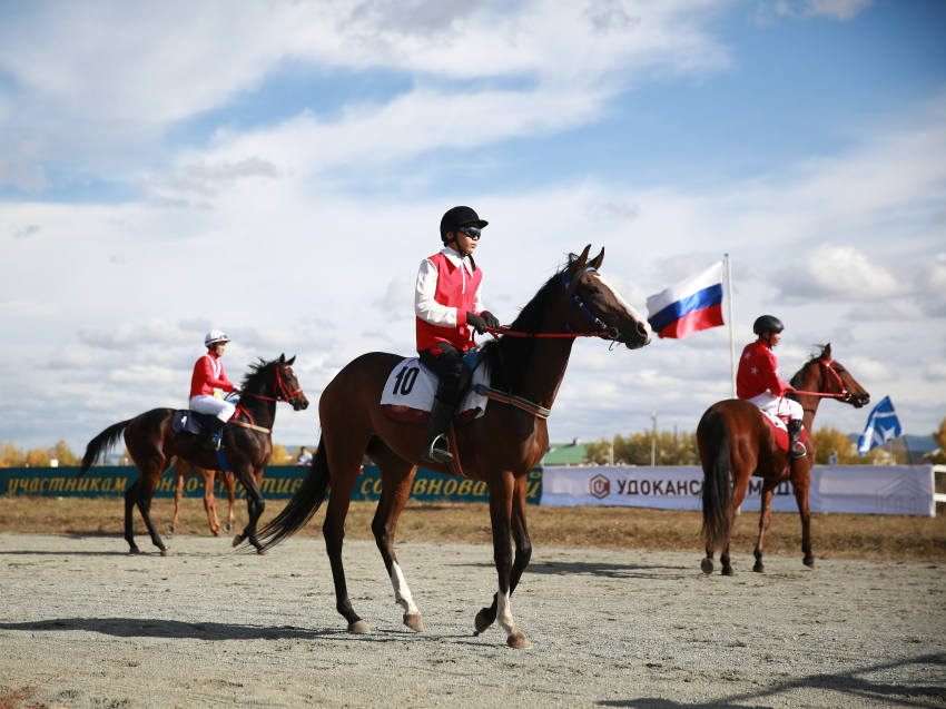 ​Ассоциация конного спорта Забайкалья получила аккредитацию Минспорта России