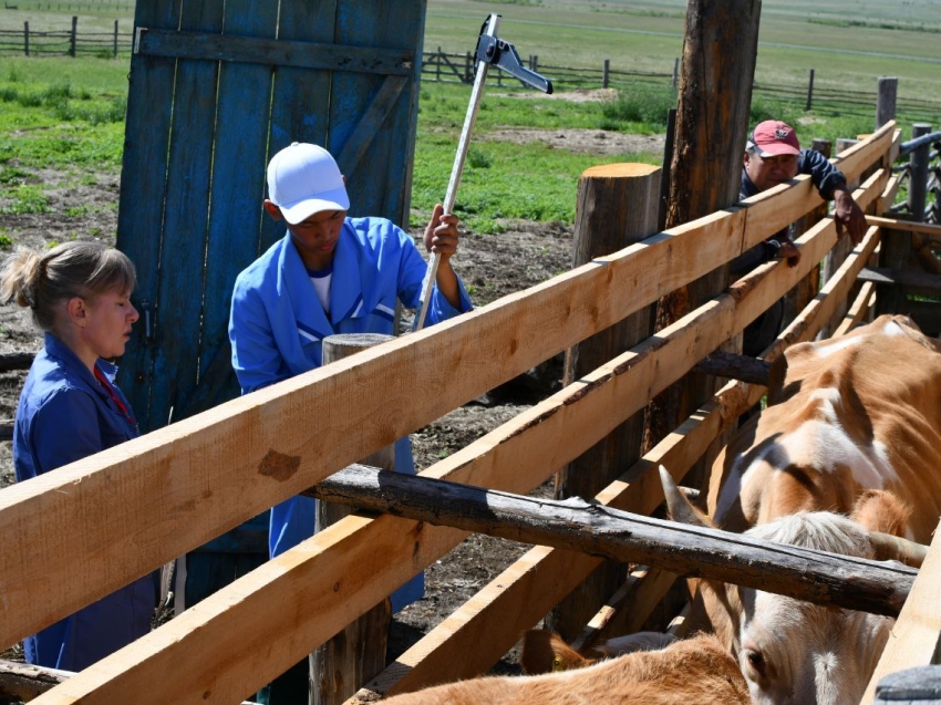 ​Гранты на развитие аграрной деятельности смогут получить учебные заведения Забайкалья