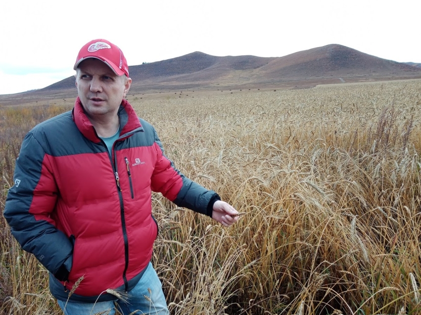 Денис Бочкарев: Сезонные полевые работы в Кыринском районе проходят в штатном режиме