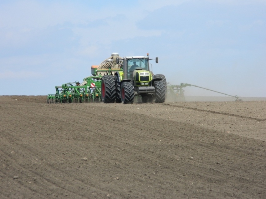 ​Посевная площадь в Агинском Бурятском округе в 2026 году составит 12 тысяч гектаров