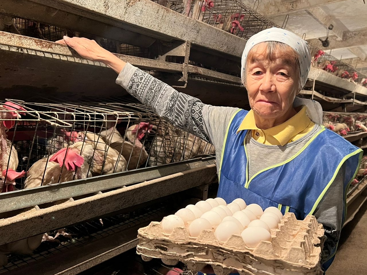 Полная перезагрузка: Читинская птицефабрика переедет в новый цех и к 2023 году кратно увеличит поголовье 