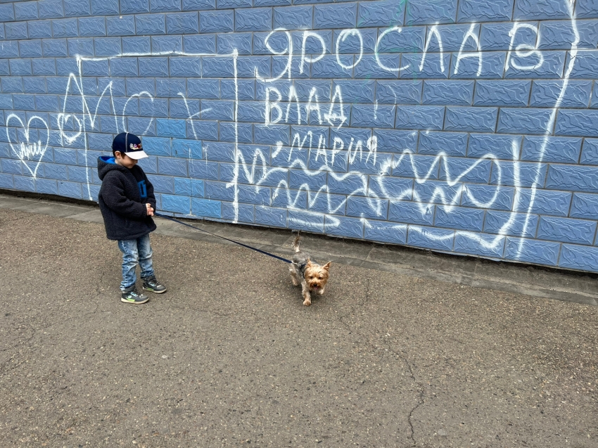 В Zабайкалье утверждены новые требования по содержанию собак