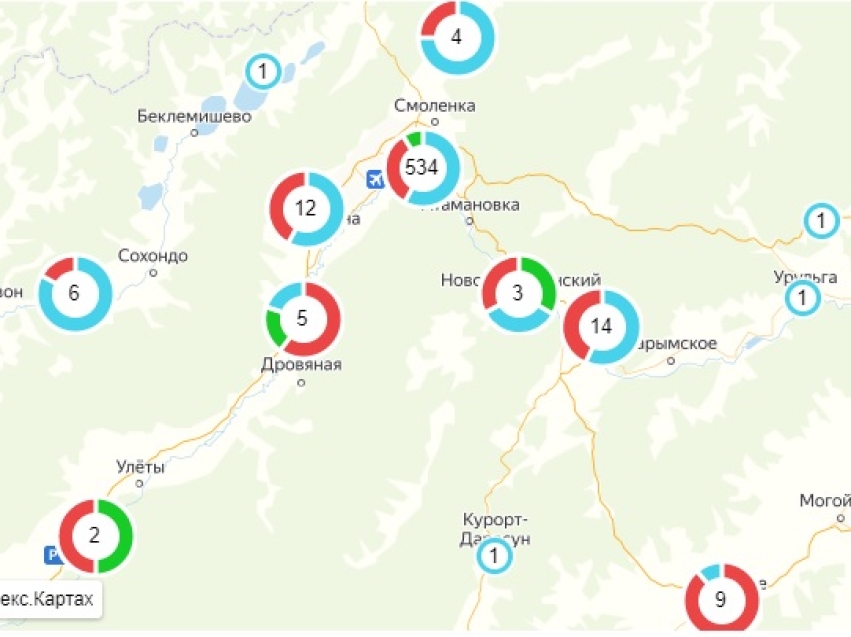 Вылечившиеся от коронавируса забайкальцы отображаются на онлайн-карте