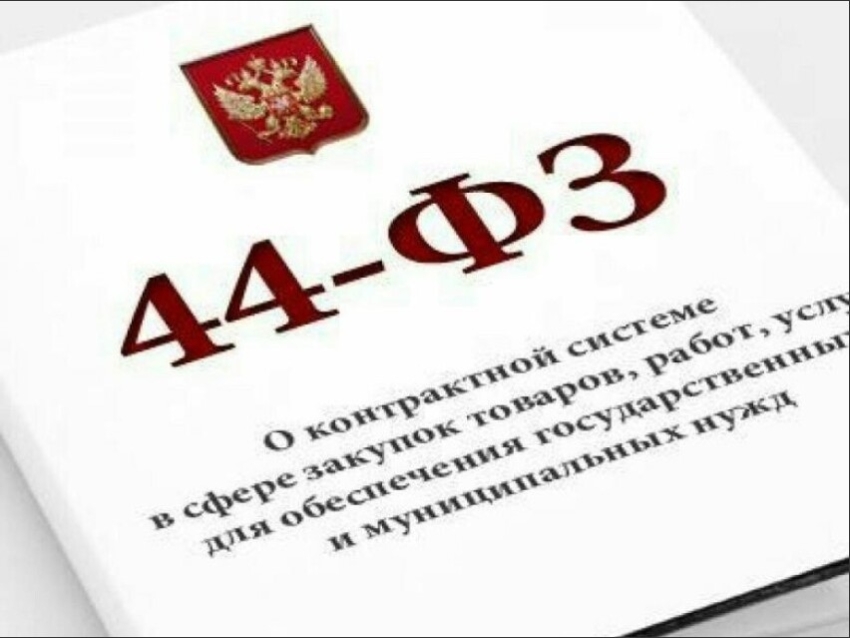 Госдума сразу в трёх чтениях одобрила меры поддержки заказчиков и участников контрактной системы