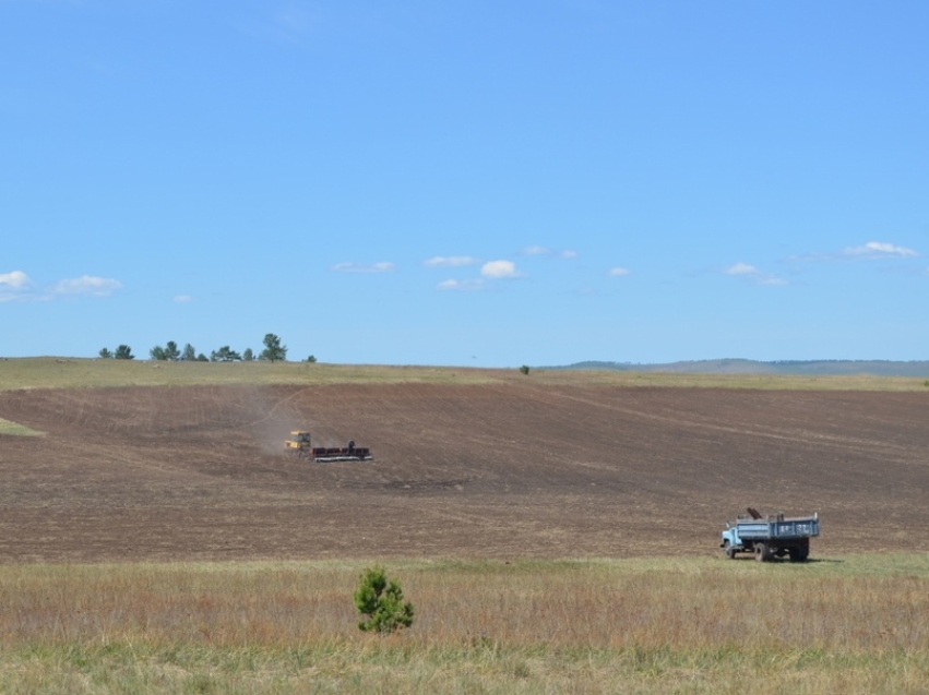 В Zабайкалье аграриям начали компенсировать затраты на освоение залежных земель