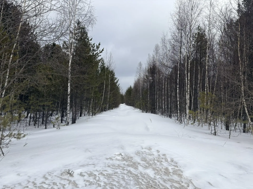 Внимание конкурс!