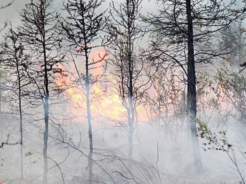 В Забайкалье определены даты начала пожароопасного сезона 2026 года