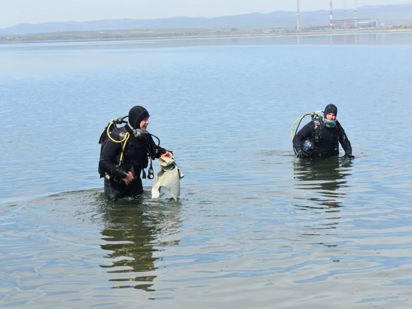 Водолазы очистили от мусора дно Кенона у городского пляжа