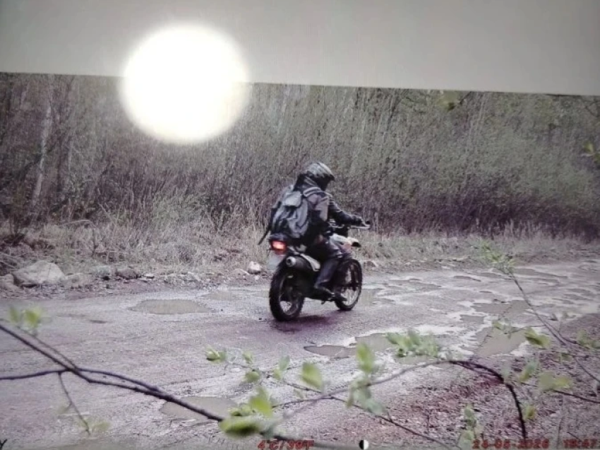 В Могочинском округе фотоловушки фиксируют нарушителей особого противопожарного режима