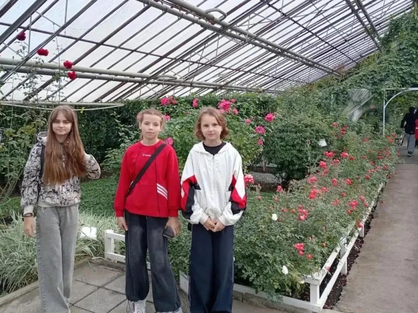 Экологическое просвещение и единение с природой: учащиеся Читинской школы №16  отметили День работников леса