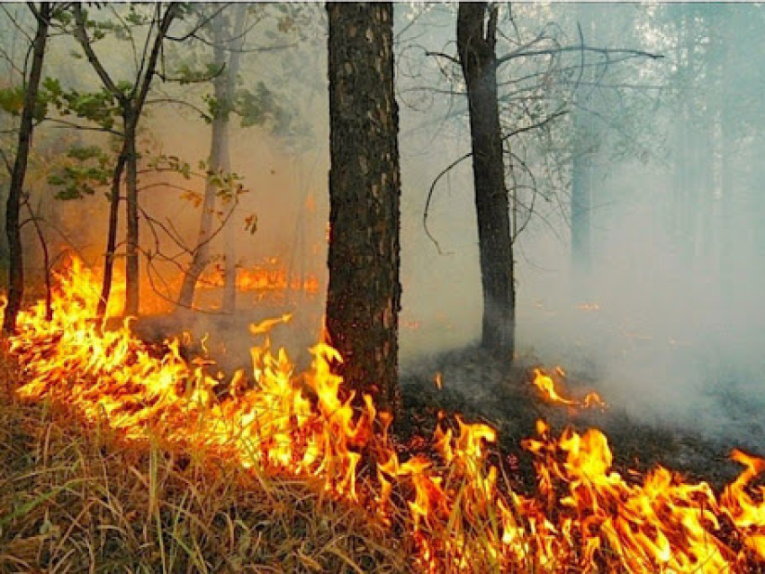 Пожароопасный сезон открыт в Читинском и Улетовском районах Забайкальского края