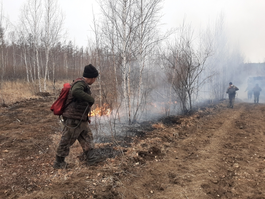 На территории края локализовано четыре лесных пожара 